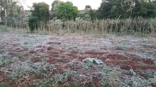 Heladas y mínimas bajo cero marcaron el inicio del martes en Misiones.