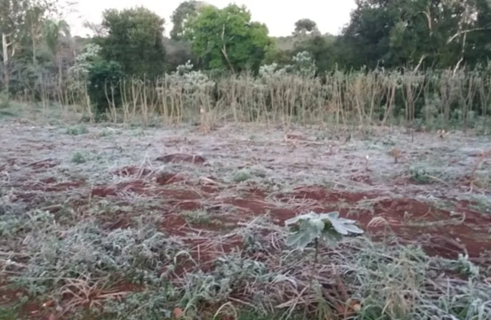 Heladas y mínimas bajo cero marcaron el inicio del martes en Misiones