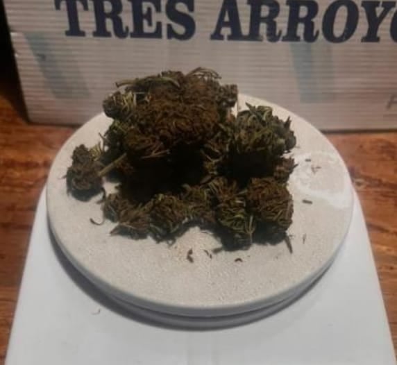 Operartivos de nocturnidad del CPR arrojan resultados positivos