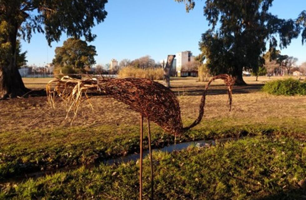 Un puntaltense fabrica esculturas con ramas de árboles en Bahía