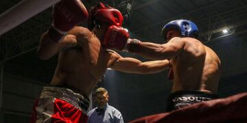 Boxeo