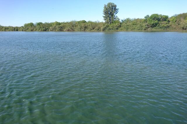 Cianobacterias o algas verdes en el río Gualeguaychú