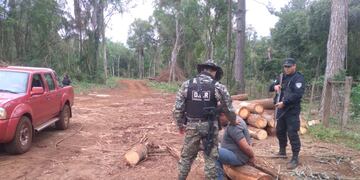 Eldorado: robó madera de una propiedad privada y fue detenido.