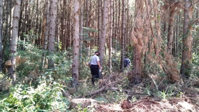 Puerto Iguazú: la Justicia investiga si la muerte de un hombre fue accidental