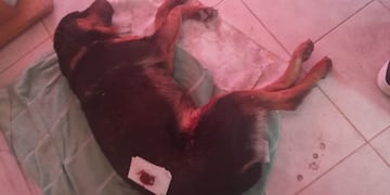 El hecho ocurrió en el interior del Barrio Virgen de la Merced, donde viven los damnificados.