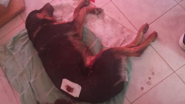 El hecho ocurrió en el interior del Barrio Virgen de la Merced, donde viven los damnificados.