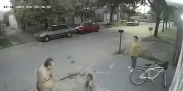 Atrapó a un ladrón y le hizo pedir perdón ante las cámaras de seguridad