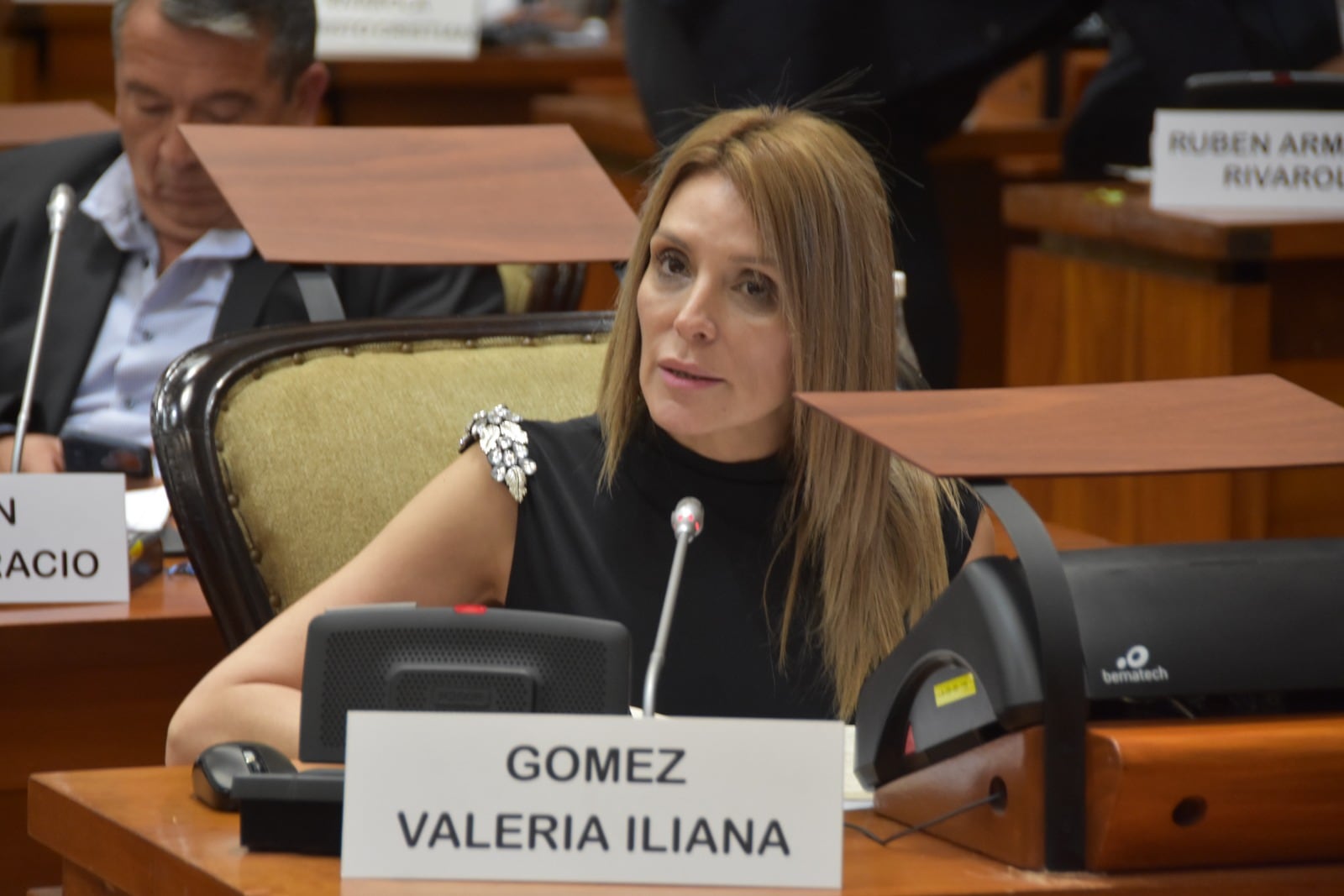 La diputada Valeria Gómez ofició como informante para presentar y fundamentar el proyecto que finalmente fue convertido en ley para declarar "Patrimonio Cultural y Natural" provincial al Santuario de la Virgen de Río Blanco y Paypaya.
