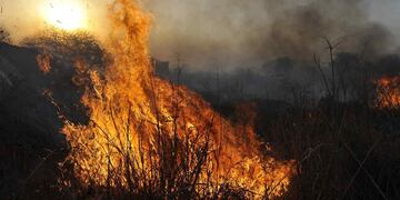 INCENDIOS. En Córdoba ya se quemaron más de 95 mil hectáreas (Archivo).