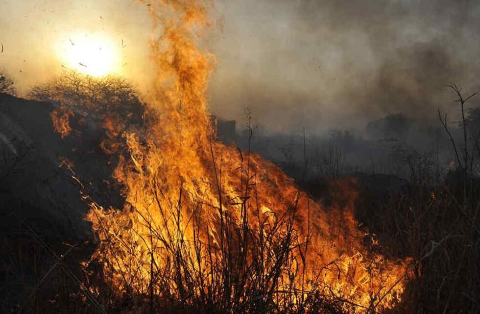 Córdoba, con riesgo extremo de incendio por el intenso calor de esta semana