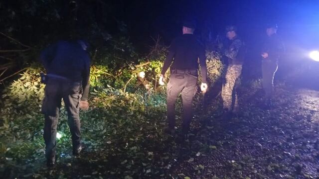 Fuertes lluvias y vientos provocaron daños en la zona Norte de Misiones.