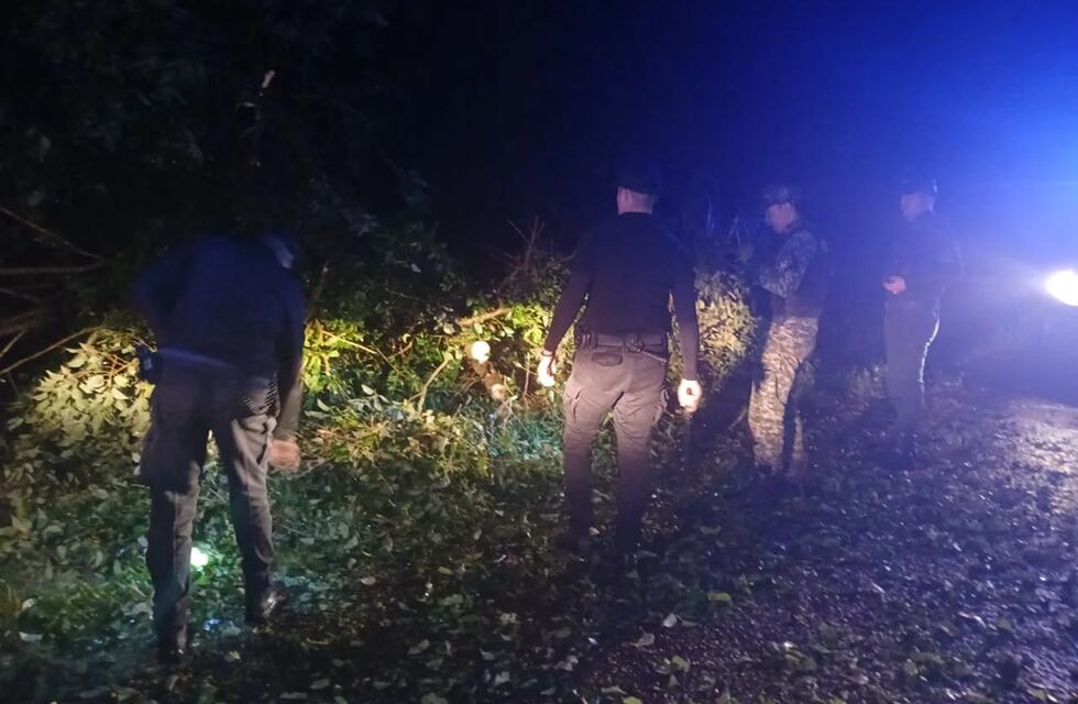 Fuertes lluvias y vientos provocaron daños en la zona Norte de Misiones