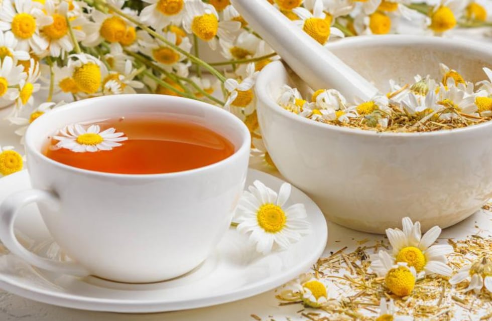 Los beneficios de la manzanilla en nuestro organismo