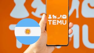 Cómo comprar en TEMU desde Argentina: el paso a paso para que lleguen los productos a tu casa