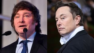 Javier Milei habló con Elon Musk. Foto: Gentileza