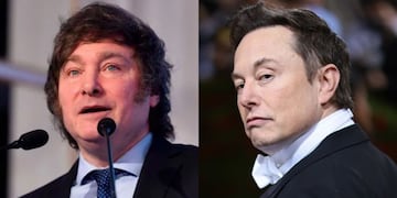 Javier Milei se reunirá con Elon Musk Foto: Gentileza