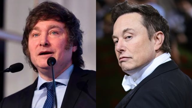Javier Milei se reunirá con Elon Musk Foto: Gentileza