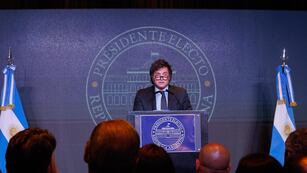 El presidente electo Javier Milei (EFE/ Juan Ignacio Roncoroni)