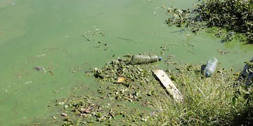 Lago San Roque de Villa Carlos lleno de algas agua contaminada color verde. (La Voz)