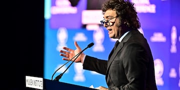 Javier Milei vuelve a Estados Unidos. Foto: Frederic J. BROWN / AFP