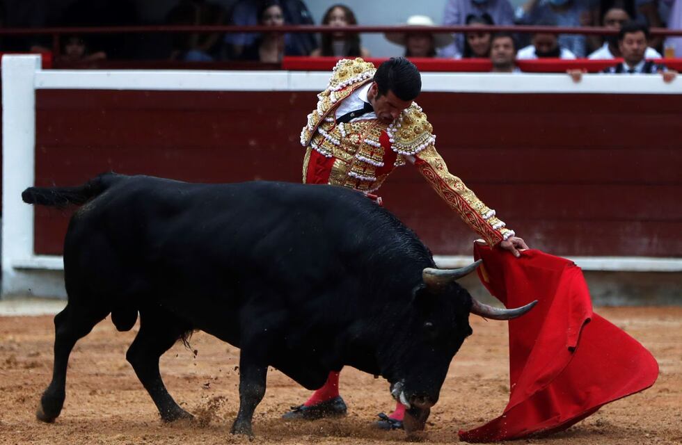 Corridas de toros en Córdoba: cuál es la reconocida plaza que era epicentro de la actividad