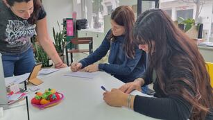 Interés por la semilla de Instituto para el Desarrollo Sustentable (IDSR)