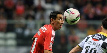 Ángel Di María renovó su contrato con Benfica en 2024.