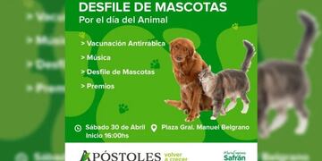Por el Día del Animal, organizan desfile de mascotas en Apóstoles.