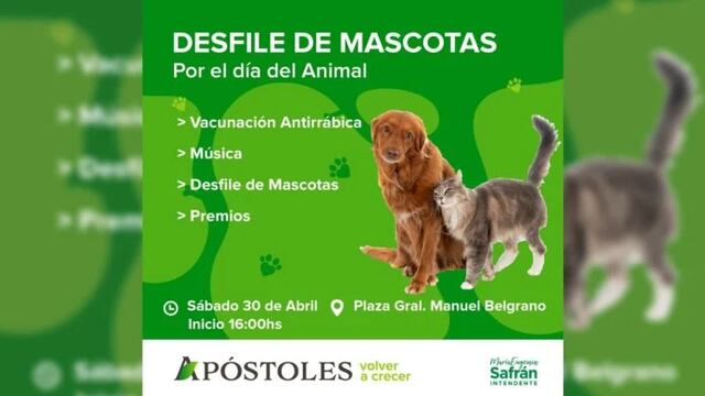 Por el Día del Animal, organizan desfile de mascotas en Apóstoles.