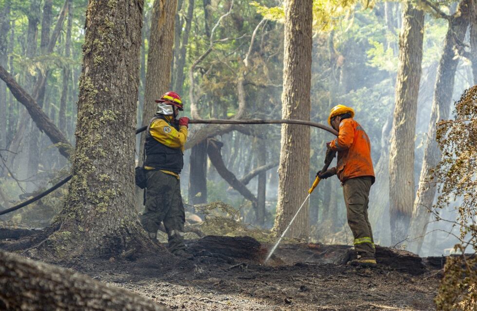 Estado de situación del incendio en la Reserva Corazón de la Isla