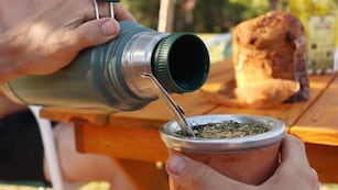 Cuántos mates me puedo tomar al día, según los especialistas.