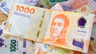 ¿Hay alternativa de ahorro para el pequeño inversor?