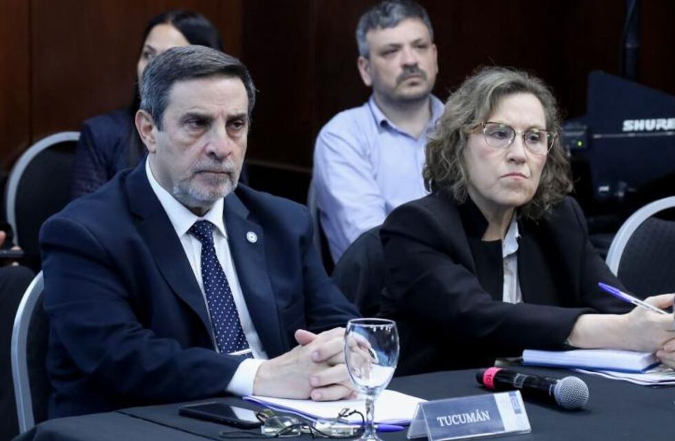 Medina Ruiz llevó la agenda tucumana al Consejo Federal de Salud