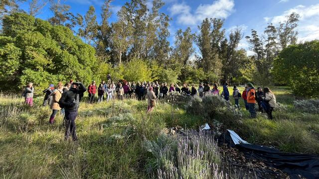 Se llevó a cabo en Claromecó Primer Encuentro Anual de Identificación de Hongos Silvestres
