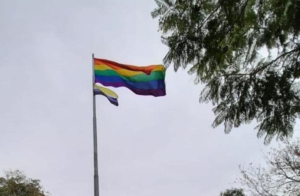 La bandera “no binarie” se izó en Villa María y piden reconocimiento en el DNI