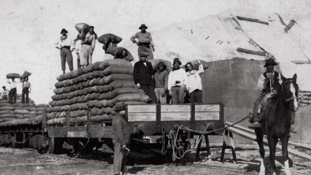 "El Ferrocarril Rosario Puerto Belgrano y el desarrollo del sector agrícola rosaleño"