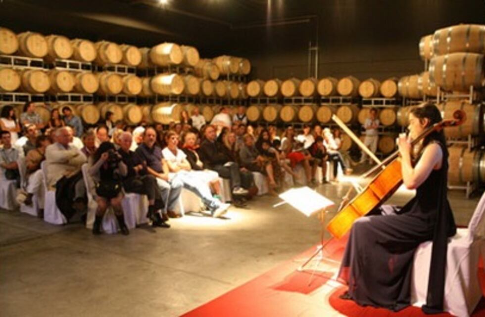 Llega Música Clásica por los Caminos del Vino al sur mendocino