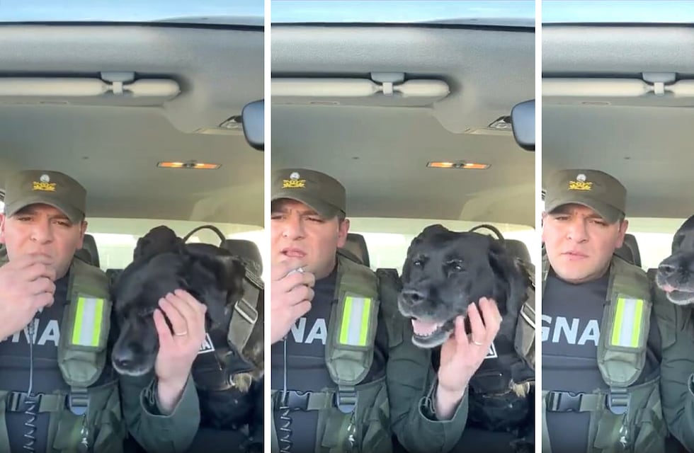 Así fue el desfile despedida de Peky, la perra de Gendarmería que se jubiló y conmovió a todos