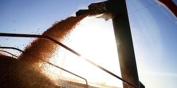 GRANOS. La cosecha de maíz de la última campaña fue muy buena, incluso superó en volumen a la de soja. (Ministerio de Agricultura de la NaciónI)