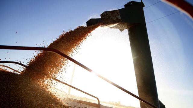 GRANOS. La cosecha de maíz de la última campaña fue muy buena, incluso superó en volumen a la de soja. (Ministerio de Agricultura de la NaciónI)