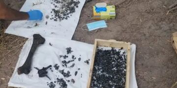 Los primeros huesos hallados sí eran de un humano adulto, pero los segundos no.