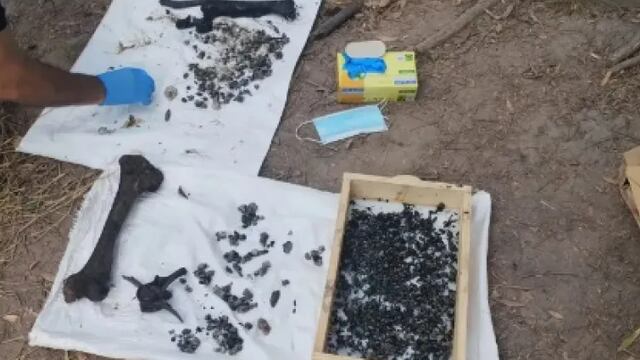 Los primeros huesos hallados sí eran de un humano adulto, pero los segundos no.