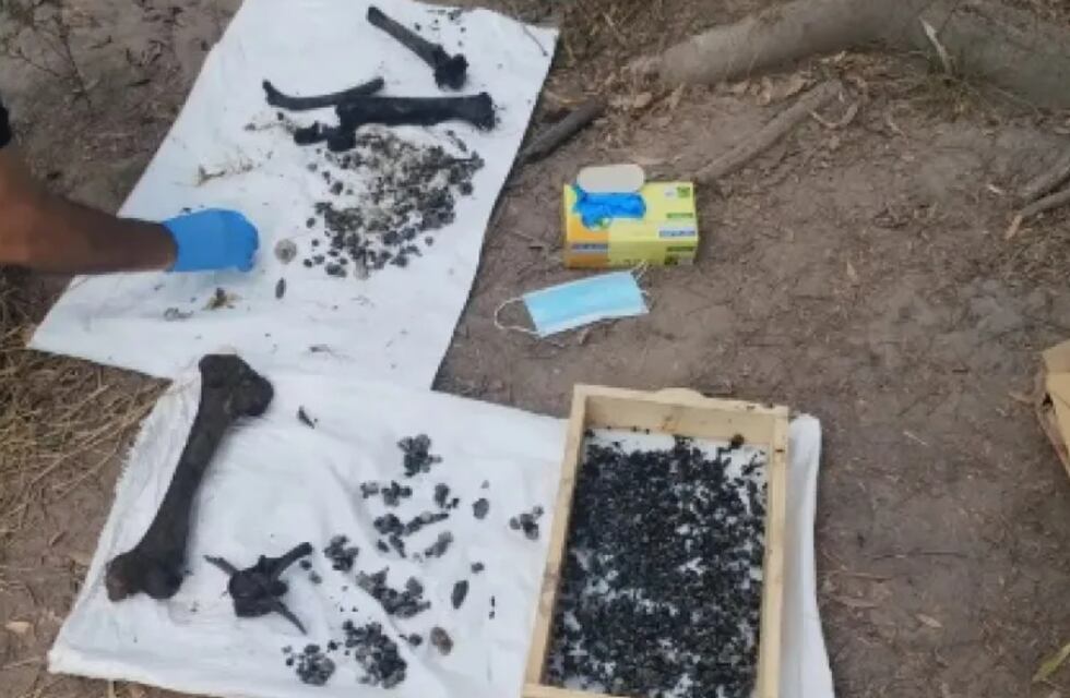 Caso Cecilia Strzyzowski: se conocieron los resultados de los estudios a los nuevos restos óseos encontrados