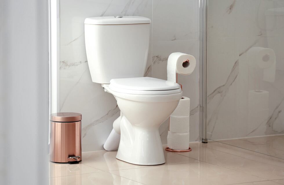 Una diputada propuso declarar al inodoro como “un lugar para la paz”: qué pasará con el proyecto