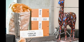 Con la compra de 124,665 kilos de fibra de vicuña por parte de la empresa italiana Loro Piana S.p.a. se abre el mercado internacional para ese rubro.