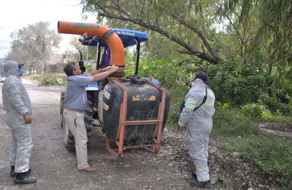 Dengue en Jujuy: multiplican acciones para combatir el brote que suma contagios