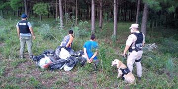 El can entrenado descubrió la droga oculta entre la maleza.