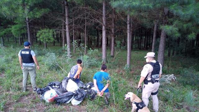 El can entrenado descubrió la droga oculta entre la maleza.