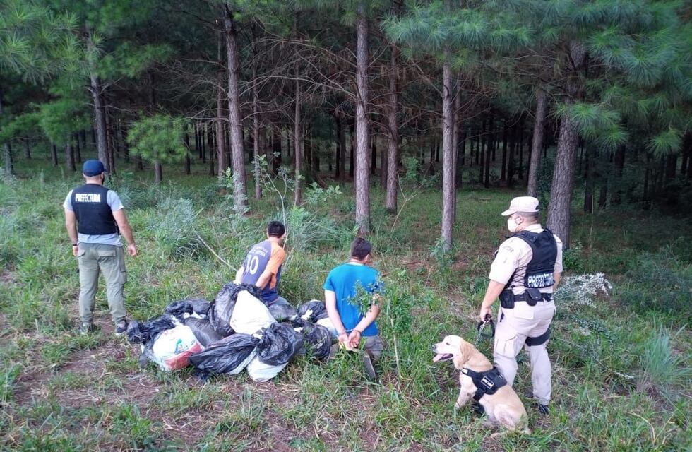 “Ruffo”: el perro de la prefectura que detectó 220 kilos de marihuana