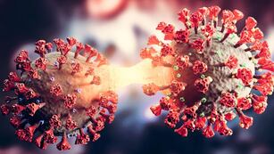 Preocupación por el aumento de casos de Covid en la Argentina. Foto: Los Andes